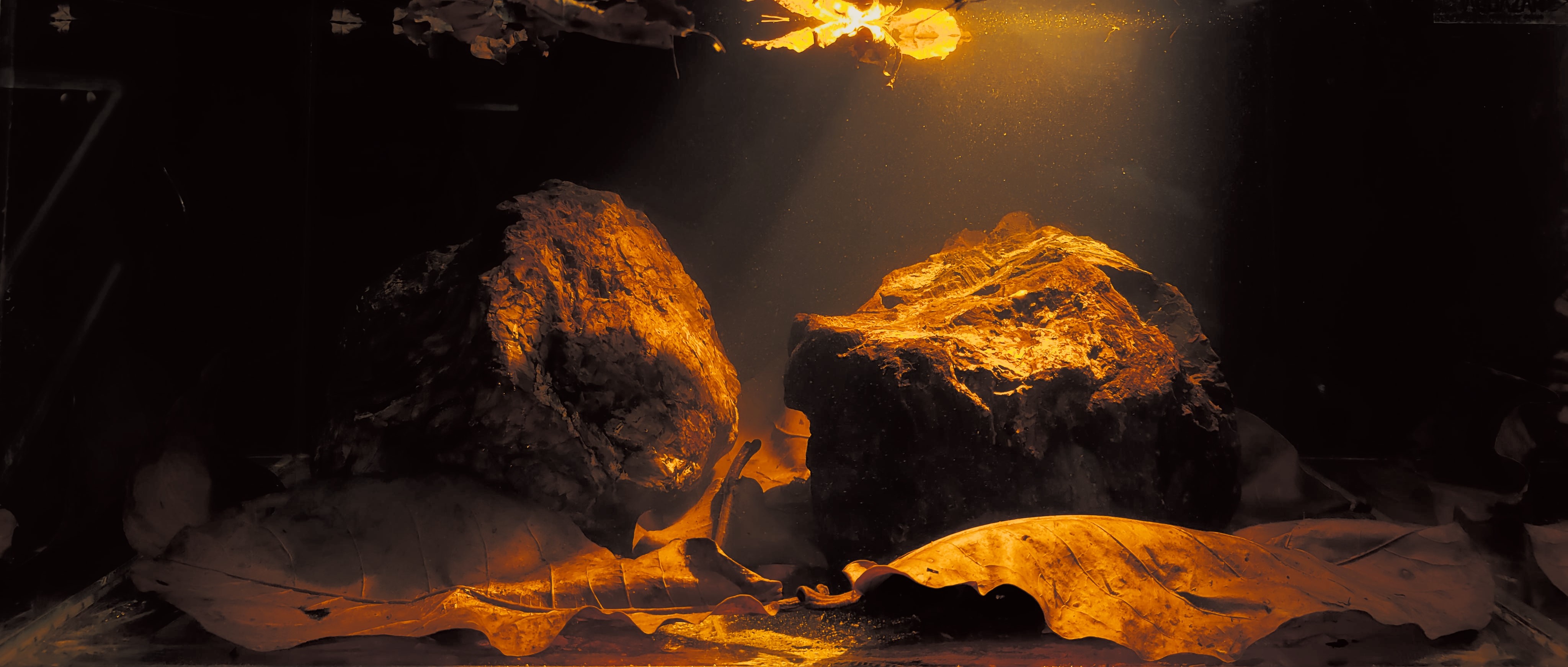 Minimal aquarium composition illuminated over stone